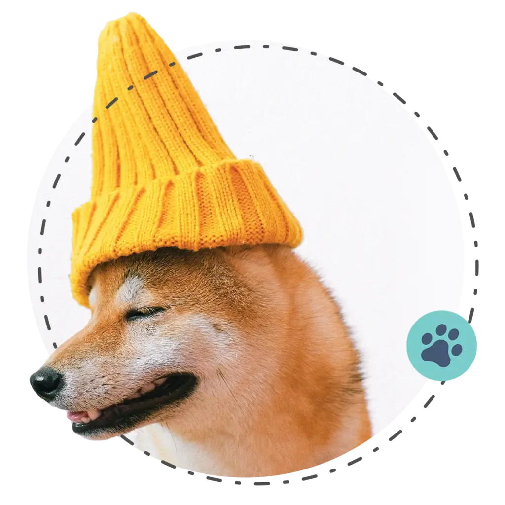 Happy Tails Puppy Profiles 1