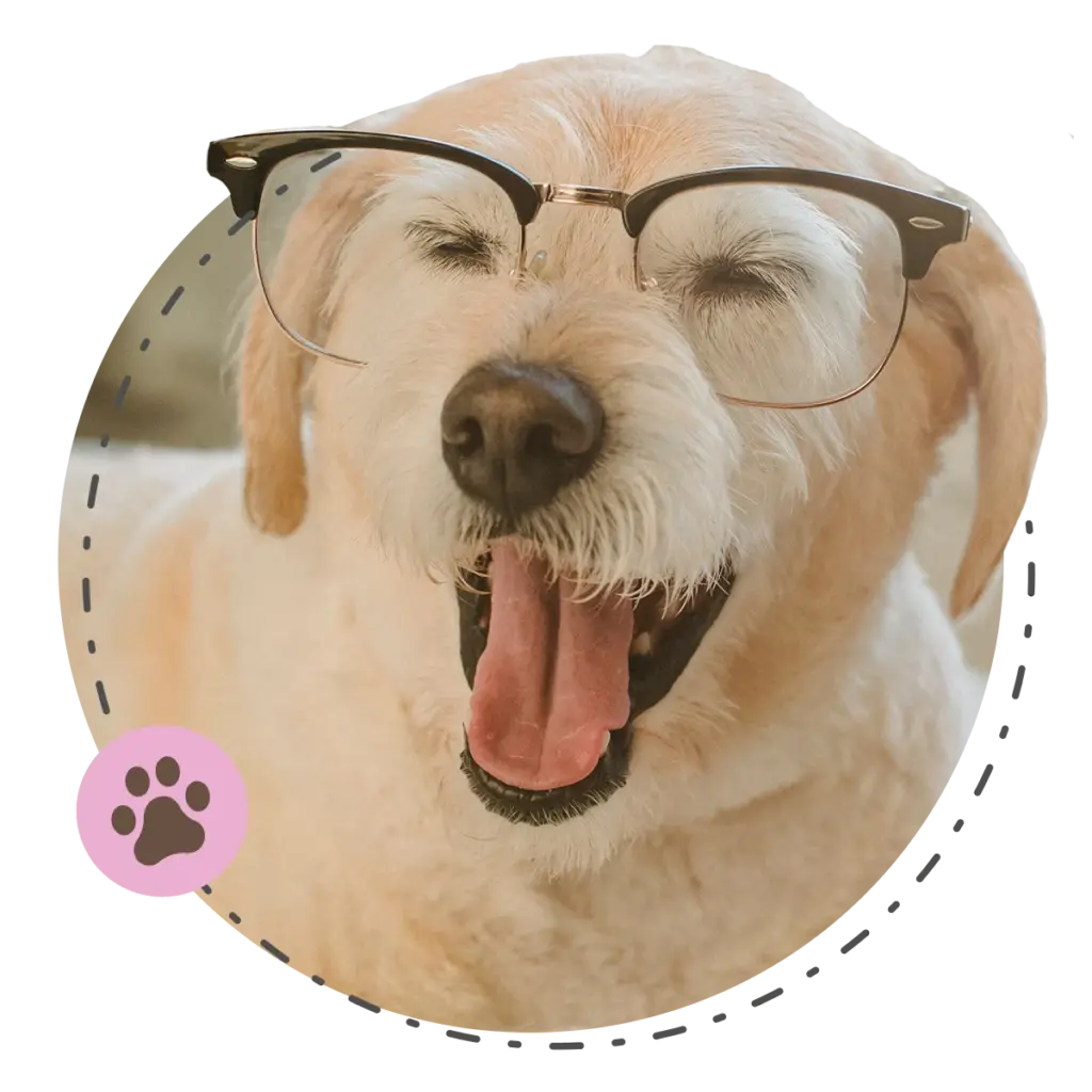 Happy Tails Puppy Profiles 2