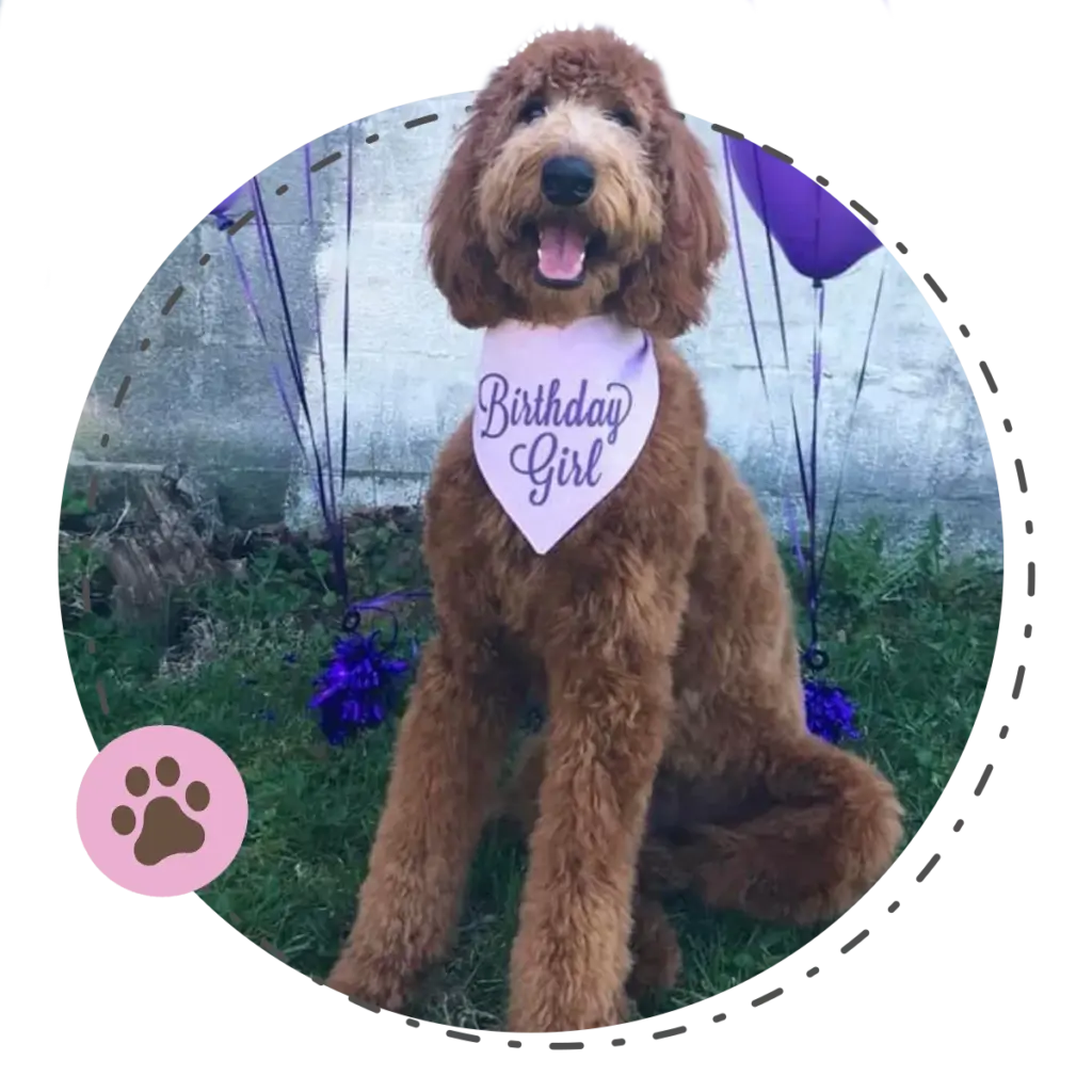 Happy Tails Puppy Profiles Winnie